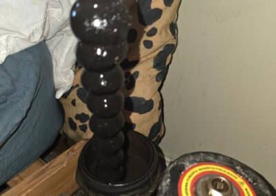 evandeli facebook gallery 16